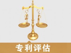 專利的價值評估，新手賣家必看